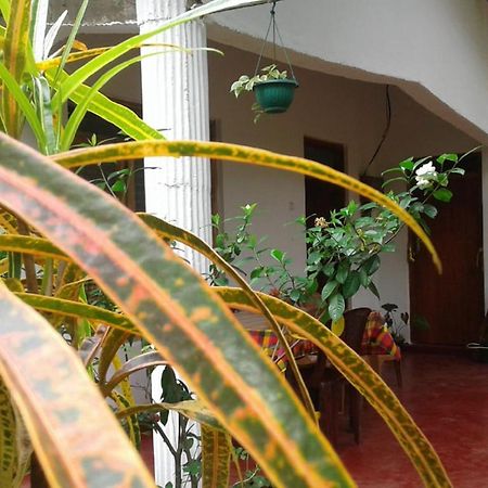 Winstar Homestay Szigirija Kültér fotó