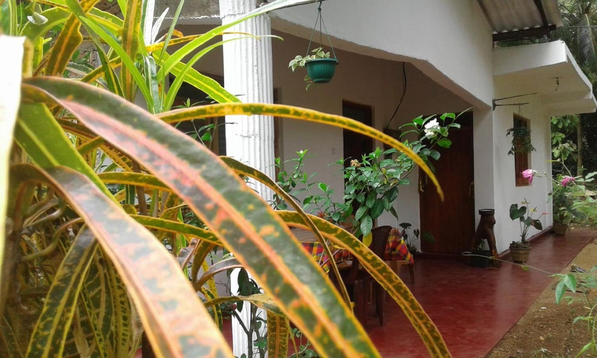 Winstar Homestay Szigirija Kültér fotó